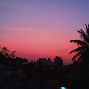 Meet your Posher, Rosie